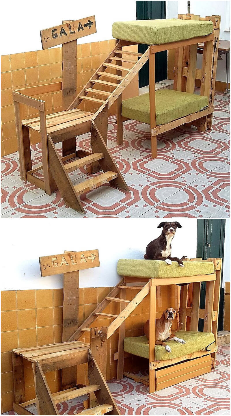 pallets made dogs bunk bed