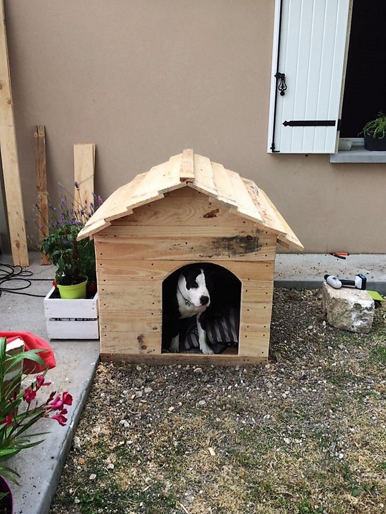 aurelie-dufour-pallet-dog-house