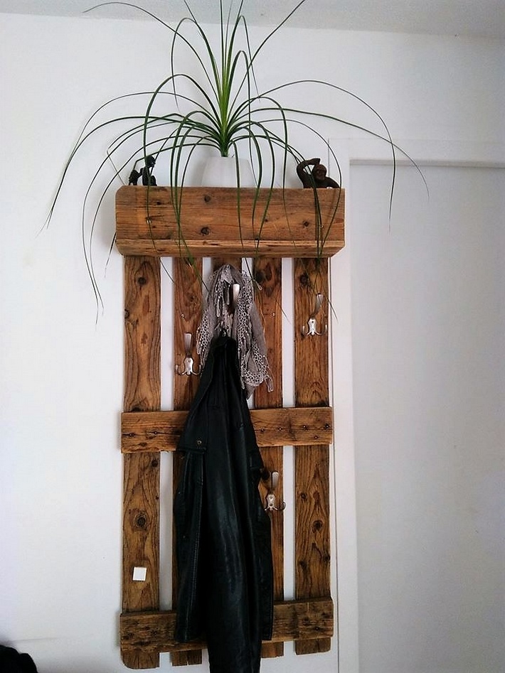 pallet-shelf-cum-hanger-idea