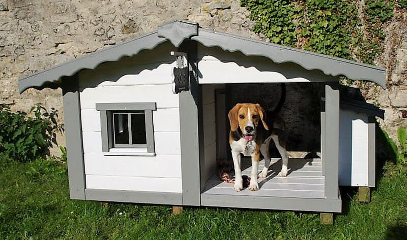 beagle dog house