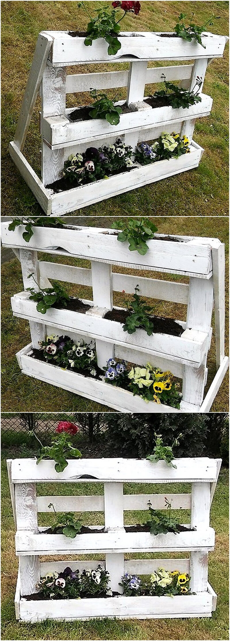 wooden pallets planter