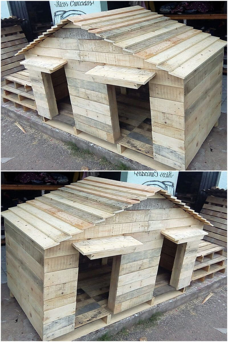 Recycled wood pallet dog house