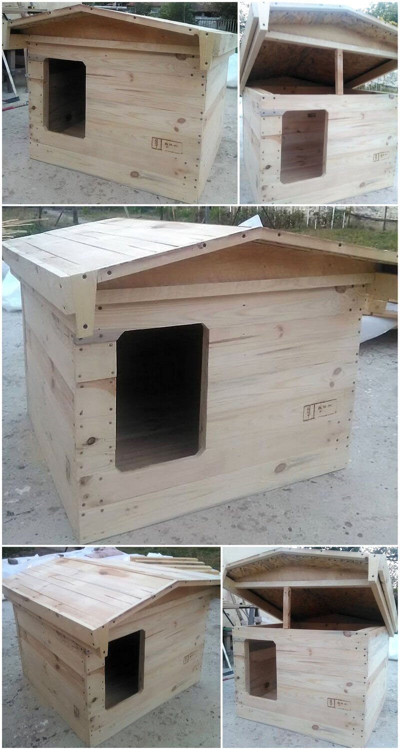 wooden pallets dog house