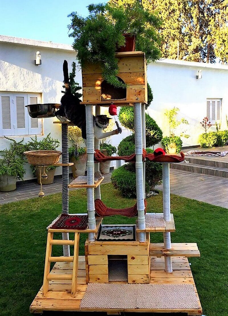 pallets wood cats play tree